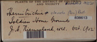Image Associated With the Occurence